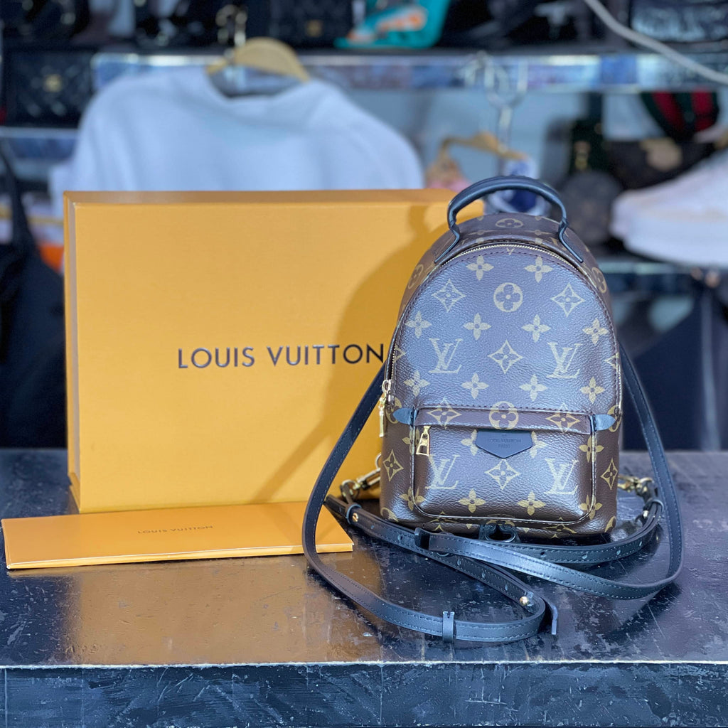 Bolso LV Palm Springs mini